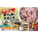 近江米 コシヒカリ2kg×2 黒米あさむらさき200gセット