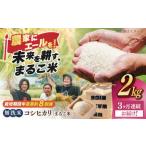 近江米 コシヒカリまるこ米2kg 無洗米