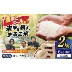 近江米 コシヒカリまるこ米2kg 無洗米