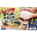 近江米 コシヒカリまるこ米4kg 2kg×2