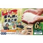 近江米 コシヒカリまるこ米6kg 2kg×3