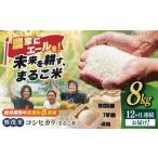 近江米 コシヒカリまるこ米8kg 2kg×4
