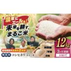近江米 コシヒカリまるこ米12kg 3kg×4