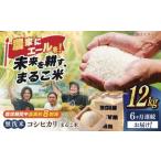 近江米 コシヒカリまるこ米12kg 3kg×4