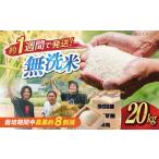 近江米 コシヒカリまるこ米20kg 5kg×4
