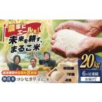近江米 コシヒカリまるこ米20kg 5kg×4