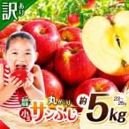訳あり サンフジ 丸かじりSSサイズ 約5kg