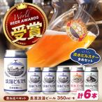 クラフトビール6本 クラフトビール