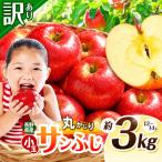 訳あり サンフジ 丸かじり SSサイズ 約3kg