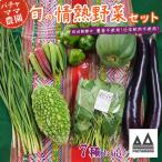 野菜 無農薬 農園自慢の情熱野菜セット 7種