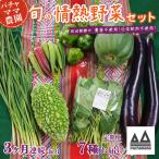 野菜 無農薬 農園自慢の情熱野菜セット 7種