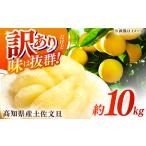 ふるさと納税 【先行予約】高知県産 訳あり 土佐文旦 約10kg 〈2026年2月~発送〉 / 傷 シミ 訳アリ 訳あり わけあり 大容量 家庭用 ぶんたん ブ.. 高知県高知市