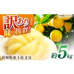 ふるさと納税 【先行予約】高知県産 訳あり 土佐文旦 約5kg 〈2026年2月~発送〉 / 傷 シミの訳あり 大容量 ぶんたん 文旦 訳あり わけあり 果物.. 高知県高知市