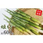 fu.... налог [5 месяц последняя декада отправка начало предположительно ] время ограничено натуральный дикоросы кожа имеется бамбук. . примерно 600g | побеги бамбука takenoko.. бамбук ....himetake.. бамбук гора.. Iwate префектура Hachiman flat город 