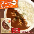 イエコオロギパウダー うちこおろぎスープカレー4個セット