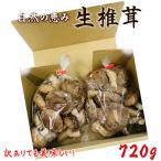 訳ありでも美味しい 自然の恵み生椎茸720g
