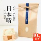 日本晴 白米 10kg