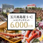 玉川高島屋S C レストランチケット 9 000円分