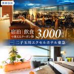 3 000円 宿泊クーポン券 ふるさとチケット