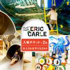 PLAY PARK ERIC CARLE 入場チケット 2枚