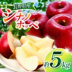 シナノホッペ 約5kg