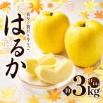 はるか 約3kg