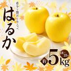 はるか 約5kg