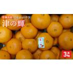 令和8年熊本地震復興支援 津の輝 つのかがやき 約3kg