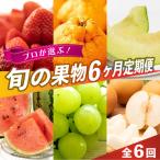 プロが選ぶ 旬の果物 6ヶ月定期便 フルーツ