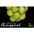 ふるさと納税 【2026年発送★先行予約】シャインマスカット 5kg 山梨県笛吹市産 235-005-26y 山梨県笛吹市