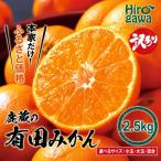 鹿蔵の有田 みかん 訳あり 2.5kg