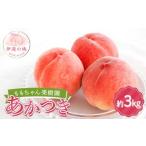 ふるさと納税 ≪2025年出荷分≫先行予約 ももちゃん果樹園の自慢の桃「あかつき」約3kg(7〜9玉) 2025年7月下旬〜2025年8月上旬発送 伊達の桃 .. 福島県伊達市