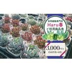 592 Haru春で使える3 000円分チケット
