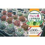 593 Haru春で使える5 000円分チケット