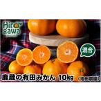 ふるさと納税 鹿蔵の 有田 みかん 訳あり 10kg 光センサー 選果 / 温州みかん 有田みかん 甘い 家庭用 和歌山 柑橘 ※11月〜翌年1月下旬ごろ順.. 和歌山県広川町