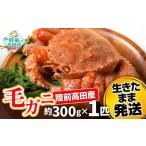 fu.... налог [ сырой . Tama . отправка ] три суша производство четырёхугольный волосатый краб примерно 300g×1 шт . толщина свежесть выдающийся | четырёхугольный волосатый краб Iwate префектура суша передний takada город 