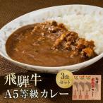 レトルト A5飛騨牛カレー 3食