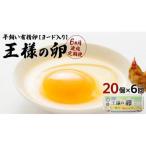 王様の卵 ヨード入 20個