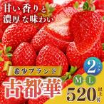 平群の古都華 M L サイズ 2パック