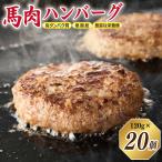 桜文 馬肉ハンバーグ 総量2.4kg 120g×20個