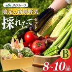 季節の野菜セットB 詰め合わせ 果物 新鮮