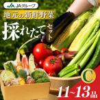 季節の野菜セットA 詰め合わせ 果物 新鮮