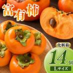 富有柿 L 14個セット 化粧箱 1段 果物 種有り
