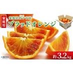 ※2027年3月上旬~4月上旬迄に 出荷予定