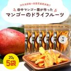 田中 マンゴー園 が作った マンゴーのドライフルーツ 20g×5…