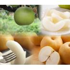 ふるさと納税 【'26先行予約】農家さん応援！訳あり鳥取県産旬の梨3kg （品種はおまかせ）[360-W25] 鳥取県若桜町