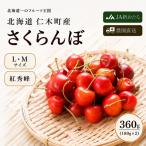 2027年発送 さくらんぼ 紅秀峰 360g