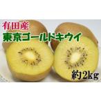 fu.... налог [ ограниченное количество ] Tokyo Gold киви примерно 2kg размер смешивание *2026 год 11 месяц средний . из последняя декада примерно отправка Wakayama префектура Arita река блок 