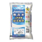 JAおきたま 無洗米はえぬき 5kg_A172