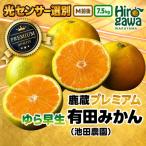 鹿蔵 プレミアム 有田みかん ゆら早生 7.5kgkg+250g